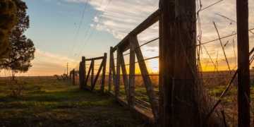 Un hombre denunció explotación laboral en un campo de Maciel