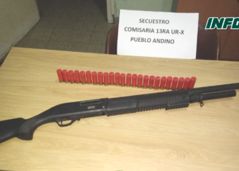 Allanaron una vivienda en Andino y secuestraron una escopeta