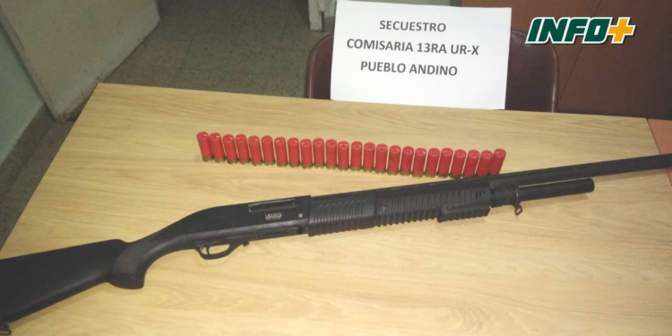 Allanaron una vivienda en Andino y secuestraron una escopeta