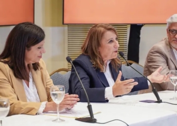 Mónica Fein: “Estamos preparados para agarrar este fierro caliente que deja Perotti”