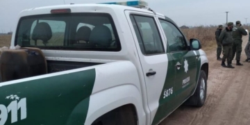 Abigeato en Gaboto: carnearon una vaca de unos 170 kilos