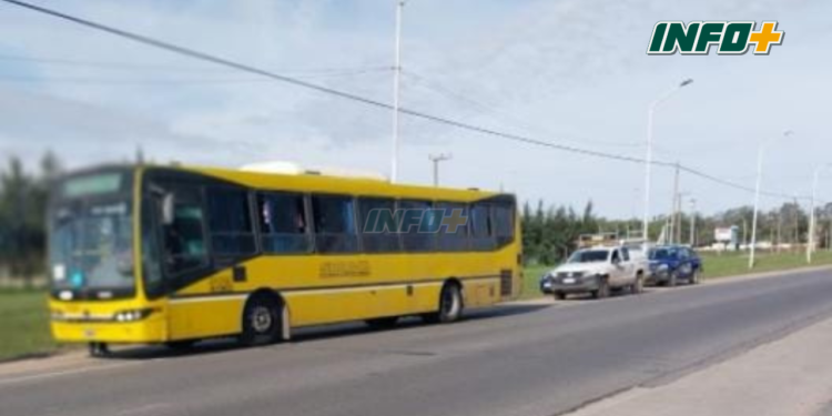 Una mujer de Andino viajaba en un colectivo y resultó herida tras una colisión