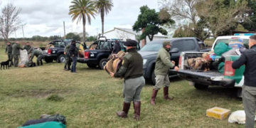 Carnearon animales en un campo de Totoras y robaron un toro