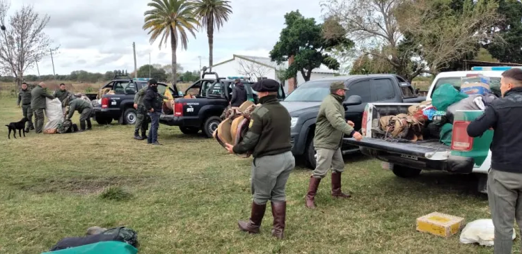 Carnearon animales en un campo de Totoras y robaron un toro