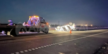 Triple choque y vuelco en autopista por esquivar animales sueltos