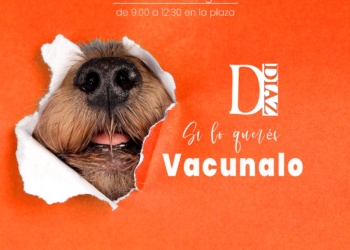 Diaz: invitan a la campaña gratuita de vacunación antirrábica para perros y gatos