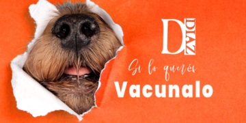 Diaz: invitan a la campaña gratuita de vacunación antirrábica para perros y gatos