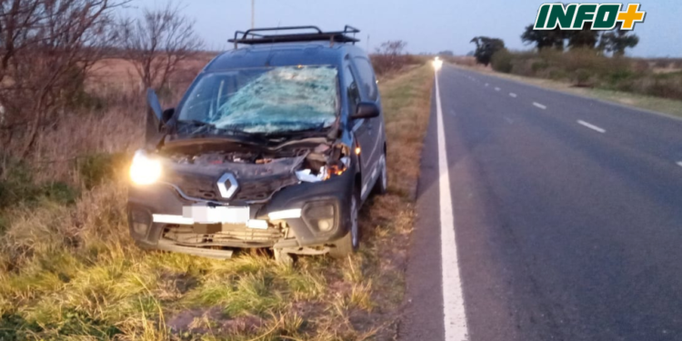 Díaz: un hombre herido al impactar contra un caballo en Ruta 65 