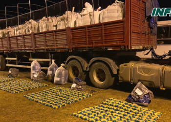 Ruta 34: descubrieron 167 kilos de hojas de coca entre cargamento de porotos