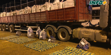Ruta 34: descubrieron 167 kilos de hojas de coca entre cargamento de porotos