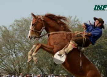 Un nene de 8 años fue herido gravemente por un caballo en una doma