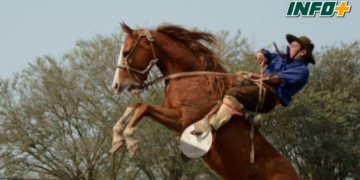 Un nene de 8 años fue herido gravemente por un caballo en una doma