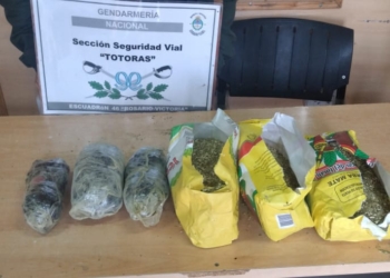 Totoras: llevaba medio kilo de marihuana en paquetes de yerba y lo detuvo Gendarmería