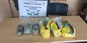 Totoras: llevaba medio kilo de marihuana en paquetes de yerba y lo detuvo Gendarmería