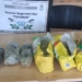 Totoras: llevaba medio kilo de marihuana en paquetes de yerba y lo detuvo Gendarmería
