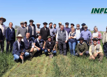 El INTA Oliveros recibió la visita de productores y empresarios de Brasil