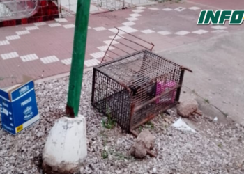 Dos jóvenes en moto chocaron en San Genaro: uno sufrió traumatismo de cráneo