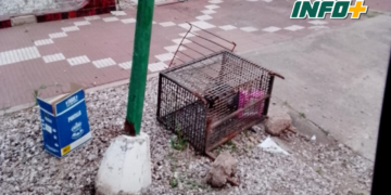Dos jóvenes en moto chocaron en San Genaro: uno sufrió traumatismo de cráneo