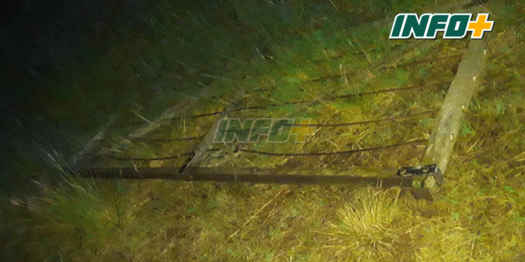 Robaban una tranquera a la vera de Ruta 11 en San Fabián y los descubrió la policía