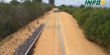 Un tren perdió gran parte de cereal entre Barrancas y Monje