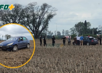 Acceso a Maciel: un automovilista despistó y terminó en medio del campo