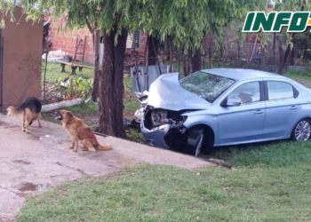 Una pareja impactó con su auto contra un árbol a la vera de Ruta 11 