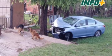 Una pareja impactó con su auto contra un árbol a la vera de Ruta 11 