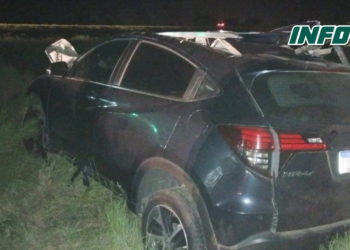 Un auto chocó contra un caballo suelto y volcó en autopista