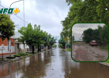 El temporal dejó sin luz a Maciel y zona: la EPE trabaja para reponer el servicio