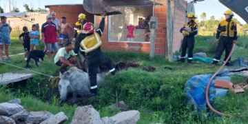 San Genaro: impresionante rescate de un caballo que cayó a un pozo ciego