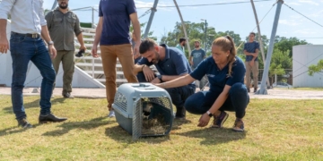 Devolvieron a su hábitat natural a 109 aves que fueron secuestradas por venta ilegal