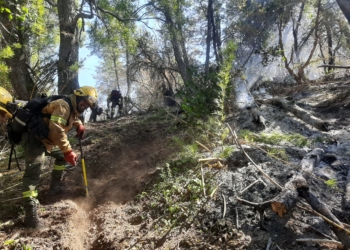 Brigadistas del Parque Nacional Islas de Santa Fe combaten incendios en Los Alerces