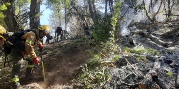 Brigadistas del Parque Nacional Islas de Santa Fe combaten incendios en Los Alerces