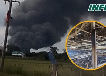 Ardió un galpón y murieron 10 mil gallinas en Oliveros