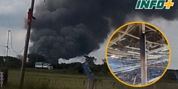 Ardió un galpón y murieron 10 mil gallinas en Oliveros