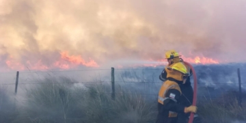 Se quemaron 8 hectáreas de campo entre San Genaro y Díaz