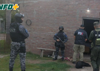 Allanamiento con un detenido en Puerto Aragón por intento de abigeato