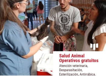 Totoras tendrá un nuevo operativo gratuito de salud animal