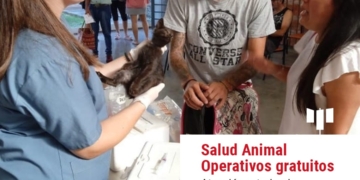 Totoras tendrá un nuevo operativo gratuito de salud animal