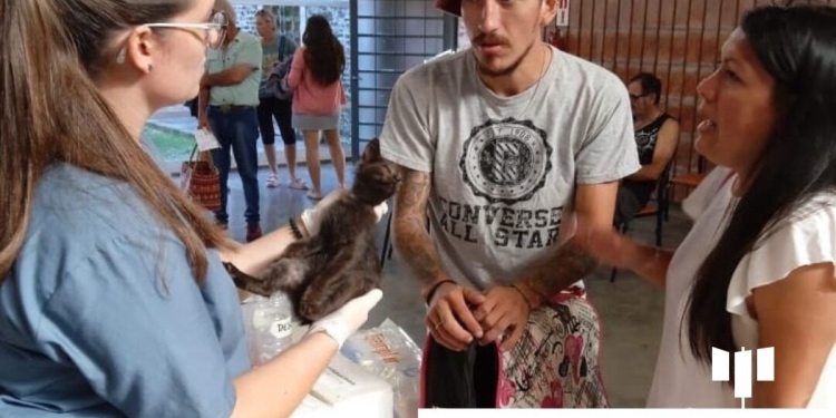 Totoras tendrá un nuevo operativo gratuito de salud animal