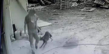 Robaron en una pyme láctea de Totoras: quedaron filmados y buscan identificarlos