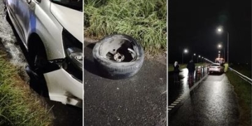 Tres detenidos por asaltos sobre la autopista Rosario Santa Fe