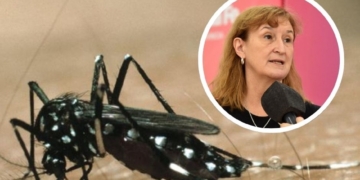 La Provincia ya acumula más de 16 mil casos de Dengue