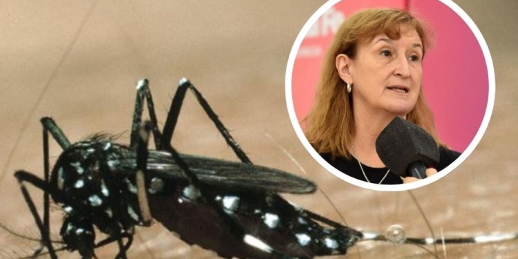 La Provincia ya acumula más de 16 mil casos de Dengue