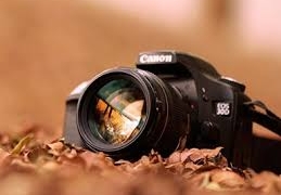 Totoras lanzó una amplia oferta de talleres culturales 2024