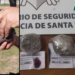 Insólito: encontraron una paloma en la cárcel de Coronda con un envoltorio de droga