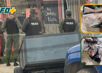 Allanaron un comercio y secuestraron más de 150 kilos de carne de animales silvestres