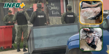 Allanaron un comercio y secuestraron más de 150 kilos de carne de animales silvestres