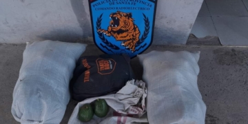 Robaron gran cantidad de paltas en un vivienda y fueron aprehendidos