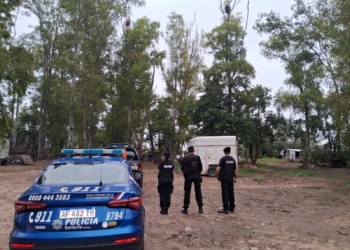 Un aprehendido por faenamiento clandestino: secuestraron 4 mil kilos de cuero vacuno